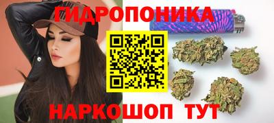 дживик Камышлов