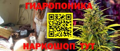 стафф Канаш