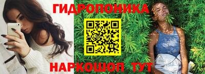 дживик Камышлов