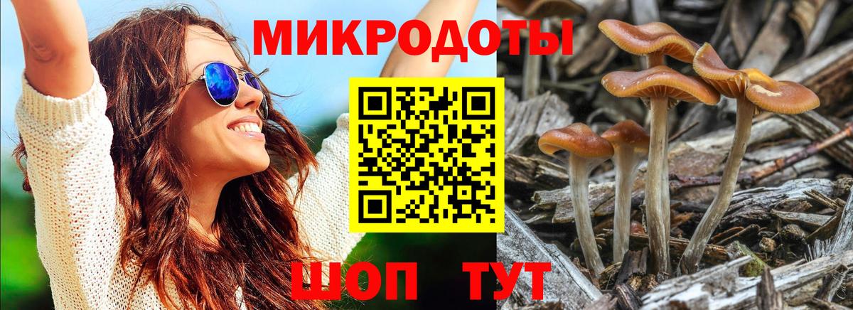 Псилоцибиновые грибы Psilocybe  Вход с VPN  Барабинск 